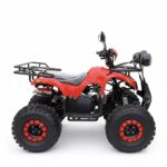 კვადროციკლი 125cc ავტომატიკა - Image 2