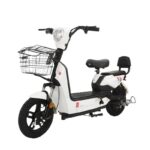 ელექტრო ველოსიპედი