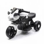 ელექტრო მოტოციკლი 5189