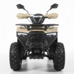 კვადროციკლი 125cc Hamer / ტიპტრონიკი / რკინის დისკებით - Image 4