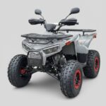 კვადროციკლი 125cc | ავტომატური | რკინის დისკები | Hamer